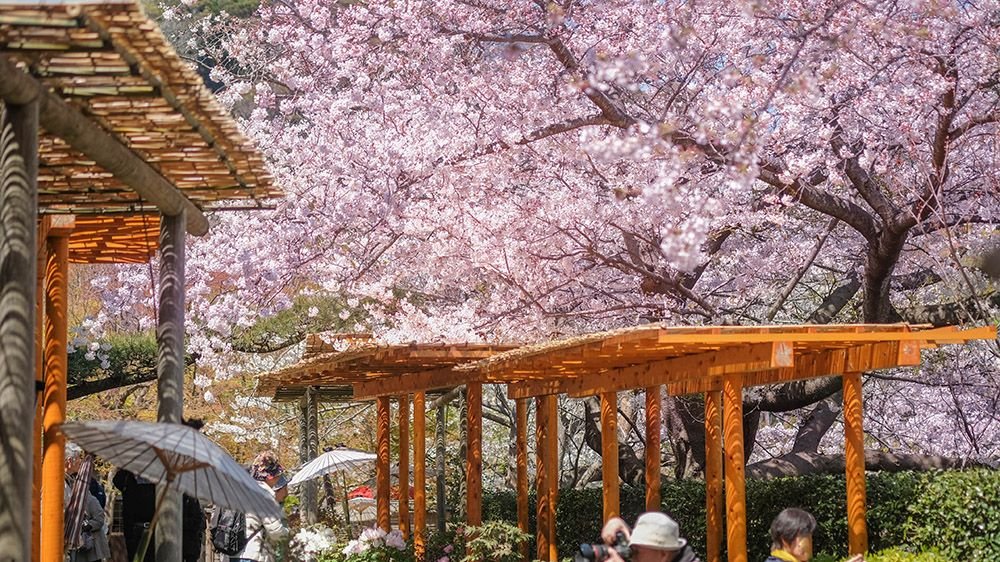 ⛩️ 사야마 하치만 신사 (사야마 하치만 진자) 이미지 8